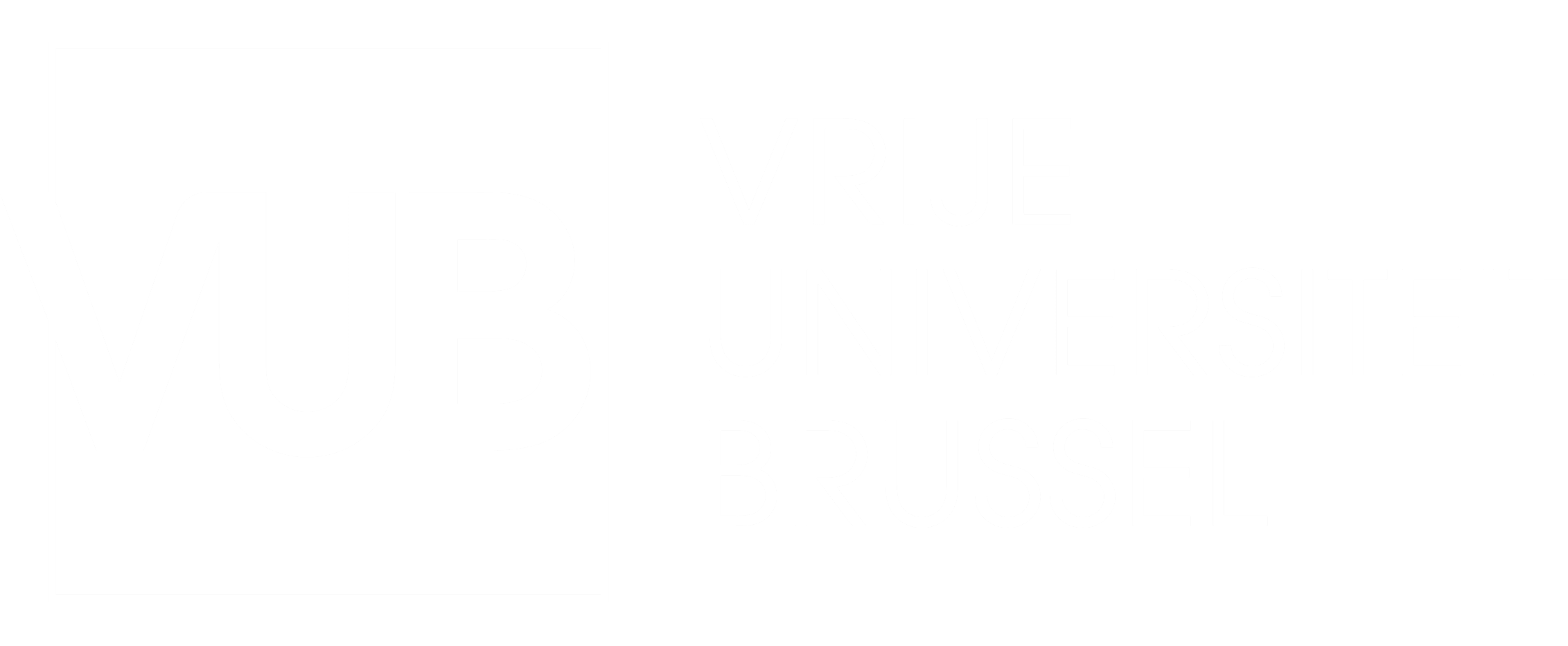 VUB logo